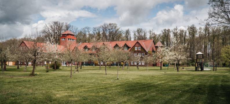 埃赫瓦尔德酒店(Waldhotel Eiche)图片