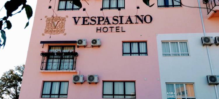 维斯帕西亚诺酒店(Vespasiano Hotel Telêmaco Borba)图片