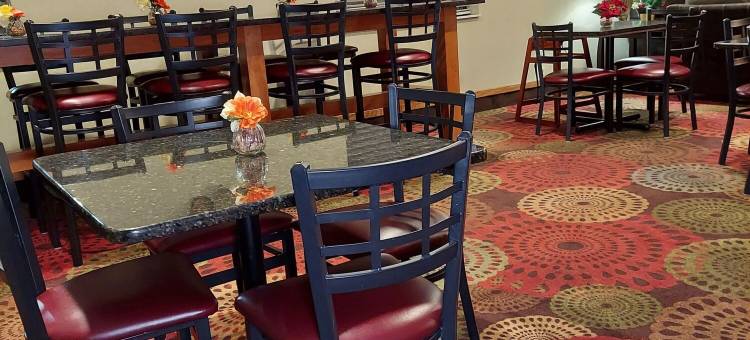 波塔吉呗盟套房酒店(Baymont by Wyndham Portage Indiana Dunes)图片