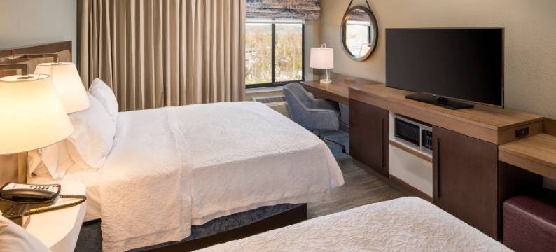 宾厄姆顿维斯塔欢朋套房酒店(Hampton Inn & Suites Binghamton/Vestal)图片