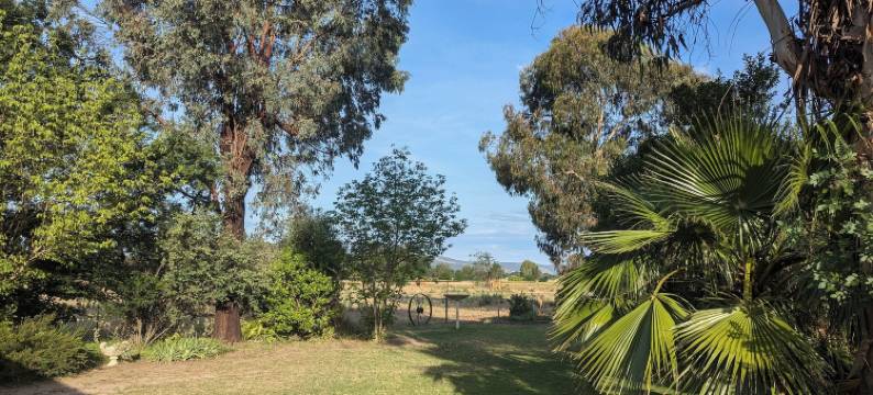 库多谷汽车旅馆(The Cudgee at Mudgee)图片