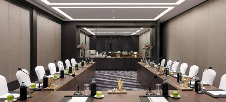 金奈沙米耶尔路诺富特酒店(Novotel Chennai Chamiers Road)图片