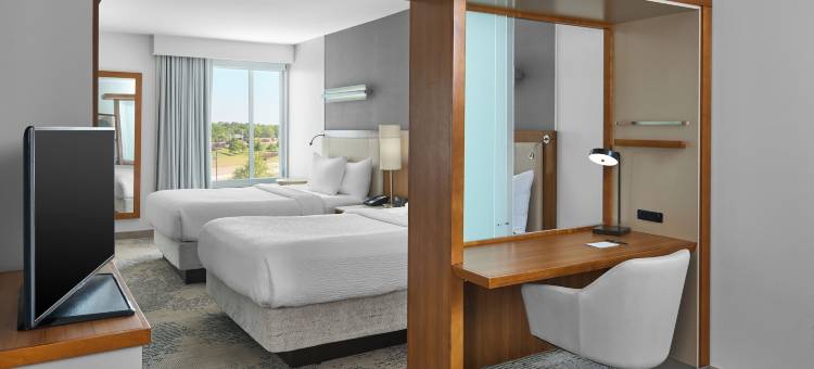 兰伯顿SpringHill Suites 酒店(SpringHill Suites Lumberton)图片