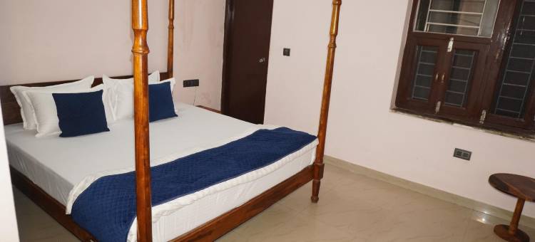 D7酒店(Hotel D7)图片