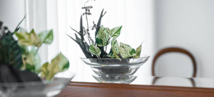 GuestReady - Urban Rustic in Esposende图片