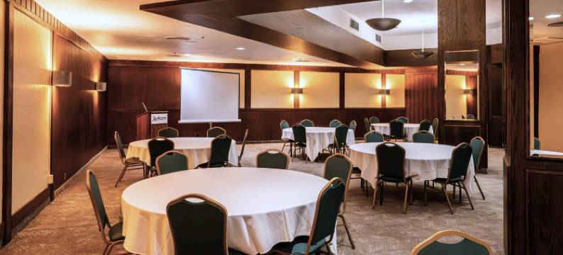 德卢斯港景丽笙酒店(Radisson Hotel Duluth-Harborview)图片