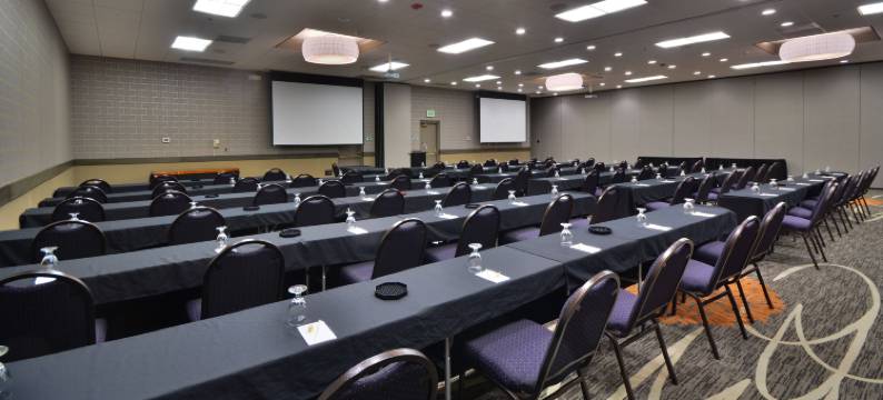 丹佛中央公园希尔顿安泊套房酒店(Embassy Suites by Hilton Denver Central Park)图片