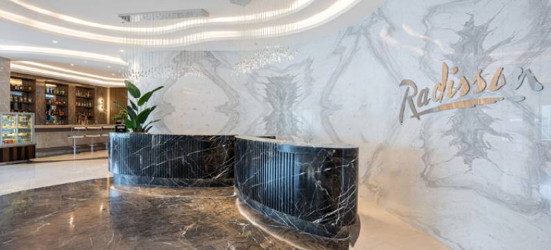 伊斯坦布尔梅尔特雷迪森酒店(Radisson Hotel Istanbul Merter)图片