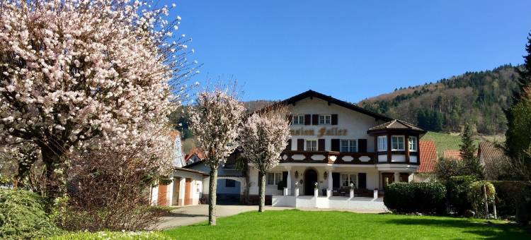 阿德勒酒店旅馆(Hotel Gasthaus Adler)图片