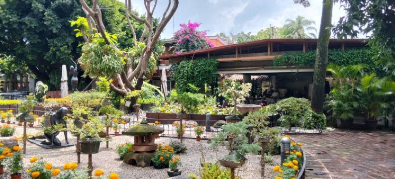 拉斯金塔斯旅馆(Hosteria Las Quintas Hotel Restaurante Bar)图片