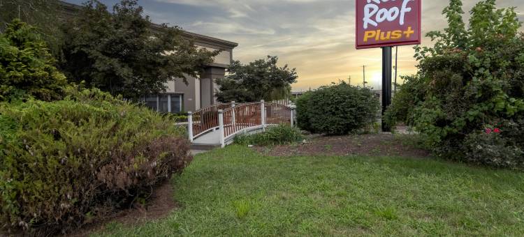 红屋顶PLUS+纽瓦克自由机场 - 卡特雷特(Red Roof Plus+ Newark Liberty Airport - Carteret)图片