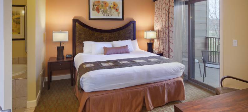 Holiday Inn Club Vacations 在日内瓦湖度假村(Holiday Inn Club Vacations AT LAKE GENEVA RESORT by IHG)图片