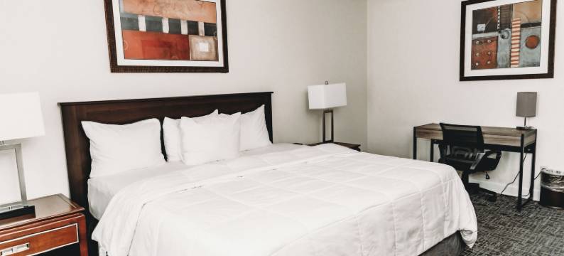 两百周年旅馆(Bicentennial Inn)图片