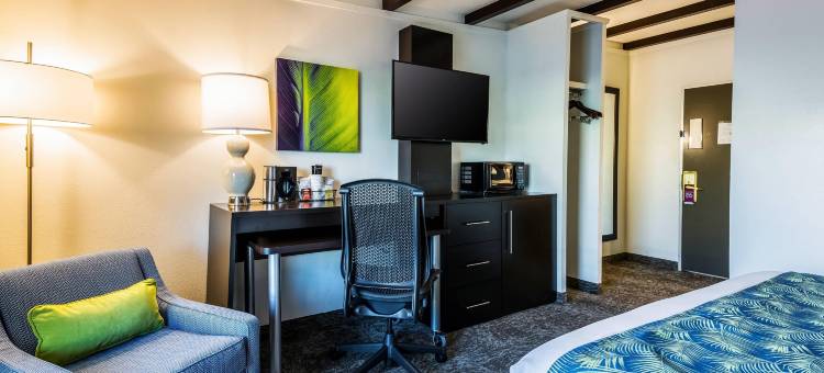 绿洲酒店及会议中心，阿桑德连锁酒店系列(Oasis Hotel & Conv. Center, Ascend Hotel Collection)图片
