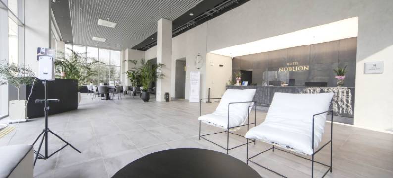 诺布里昂酒店(Hotel Noblion)图片