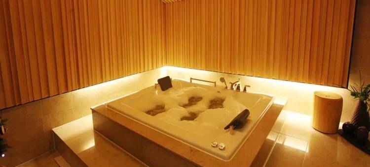 天空花园酒店明洞1号店(Hotel Skypark Myeongdong 1)图片