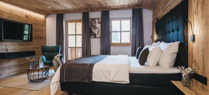 VAYA 阿亨湖(Vaya Achensee)图片