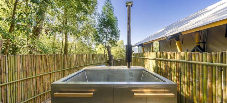 山上种树牛樟森林休闲农场图片