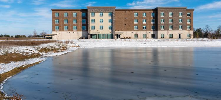 IHG旗下的智选假日套房酒店Westfield Indianapolis(Holiday Inn Express & Suites Westfield - Indianapolis by IHG)图片