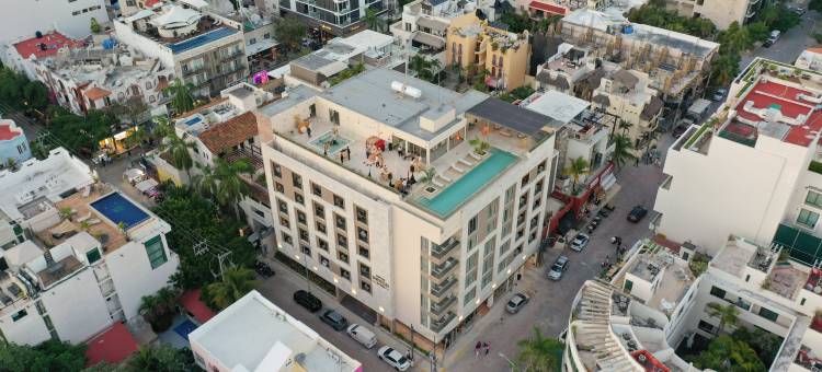 IHG旗下英迪格酒店卡曼海滩(Hotel Indigo PLAYA DEL CARMEN by IHG)图片