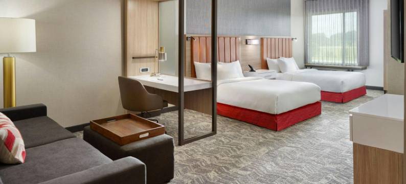 春丘-富兰克林明特分店(SpringHill Suites Franklin Mint)图片