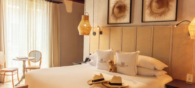 卢伊斯庄园酒店，法兰达精品店，雷迪森个体会员(Hotel Casa Don Luis by Faranda Boutique, a Member of Radisson Individuals)图片