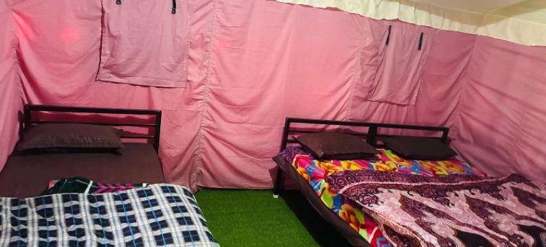 乔卡姆巴景观营地 Chopta(Chaukhamba View Camps Chopta)图片