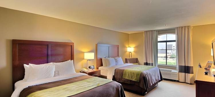 舒适酒店-爱丁堡南(Comfort Inn Edinburg South)图片