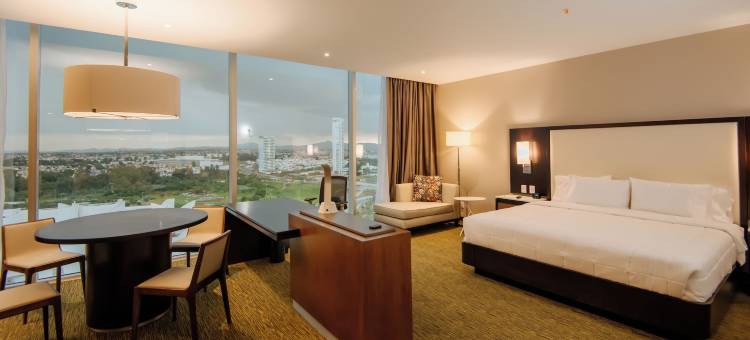 墨西哥普埃布拉安荷洛波里斯希尔顿花园酒店(Hilton Garden Inn Puebla Angelópolis)图片