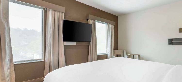 舒适酒店套房(Comfort Suites Gatlinburg Downtown-Convention Center)图片
