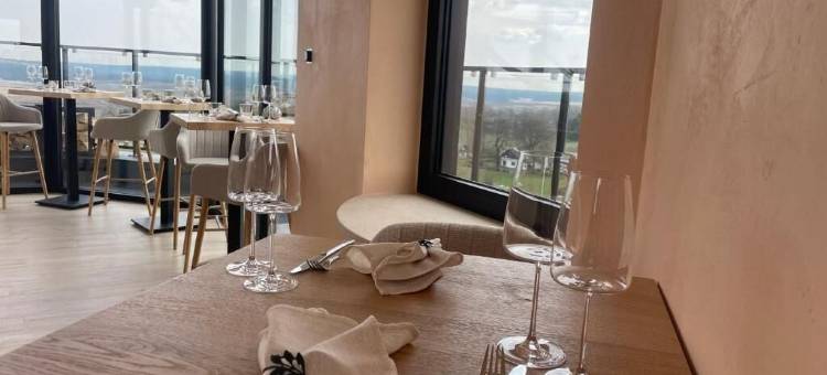 水塔酒店 WALDBADEN(Water Tower Hotel WALDBADEN)图片
