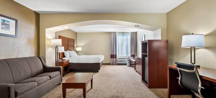 舒适套房酒店(Comfort Inn & Suites Panama City - St Andrew)图片