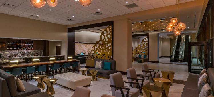 盖勒瑞亚休斯顿威斯汀酒店(The Westin Galleria Houston)图片