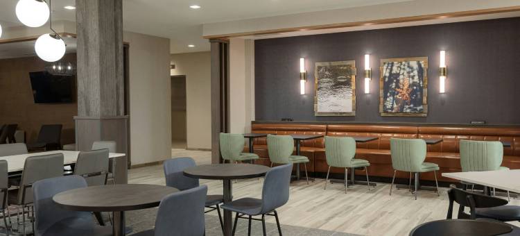 辛辛那提奥克利万豪国际万枫酒店及套房(Fairfield by Marriott Inn & Suites Cincinnati Oakley)图片