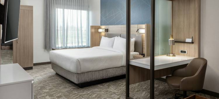 普莱森顿SpringHill Suites酒店(SpringHill Suites Pleasanton)图片