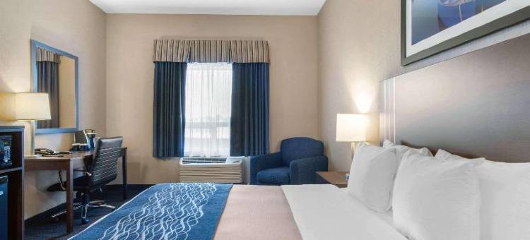 舒适套房酒店(Comfort Inn & Suites)图片