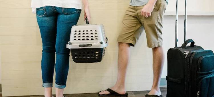 美国长住套房酒店 - 纽奥良 - 机场 - 10 号州际公路(Extended Stay America Suites - New Orleans - Airport - I-10)图片