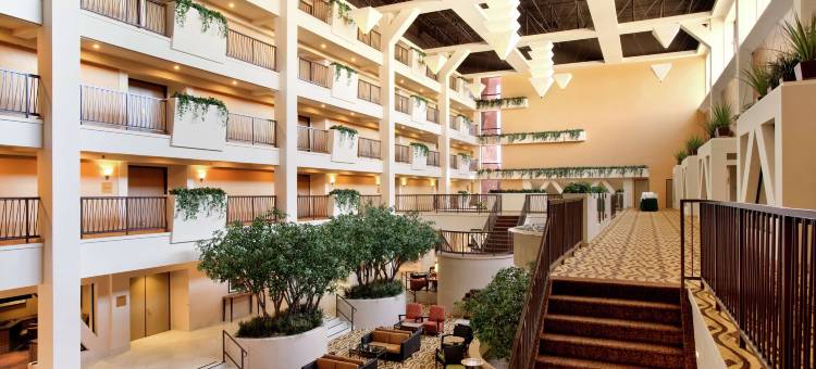 斯托克顿希尔顿酒店(Hilton Stockton)图片