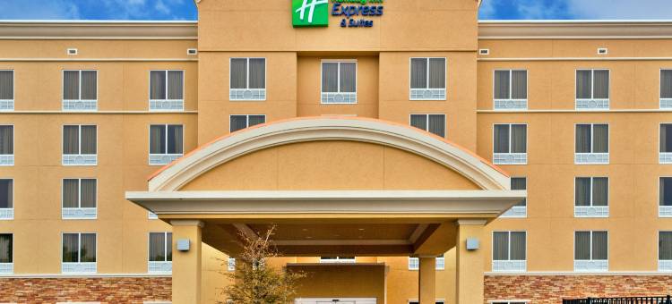 智选假日套房酒店拉戈，清水湾(Holiday Inn Express & Suites LARGO-CLEARWATER by IHG)图片