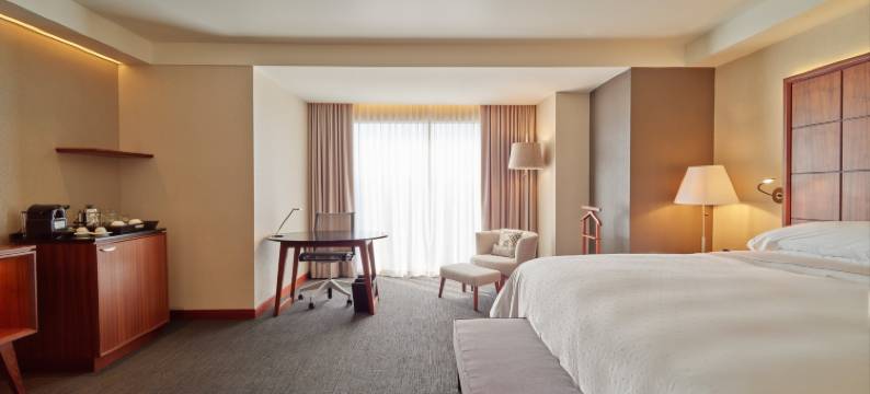 查普尔特佩克格兰德费斯塔美国酒店&度假村(Grand Fiesta Americana Chapultepec)图片