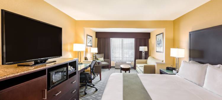 智选假日套房酒店圣何塞摩根山(Holiday Inn Express & Suites San Jose-Morgan Hill)图片