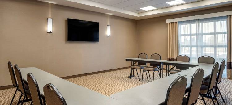 舒适套房酒店(Comfort Inn & Suites)图片