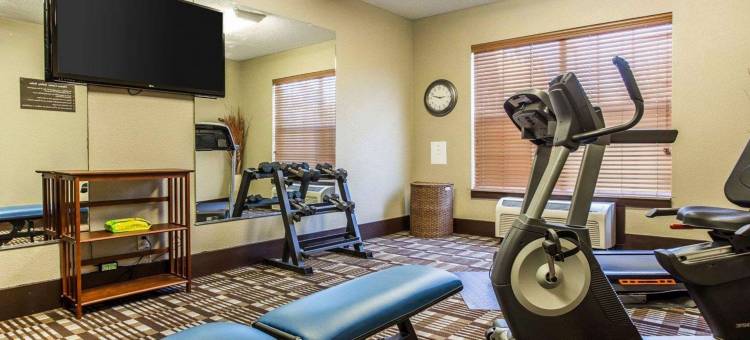 棒球场区舒适套房酒店(Comfort Inn & Suites Ballpark Area)图片