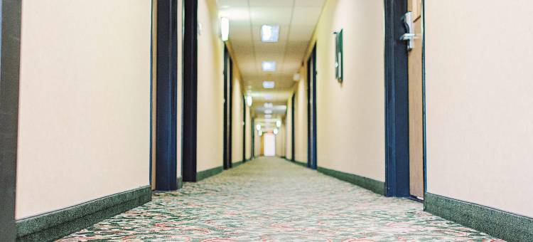 拉维什套房旅馆(Lavissh Inn and Suites)图片