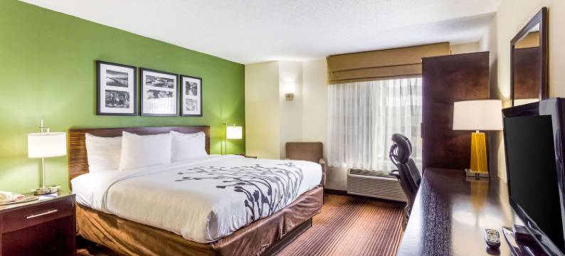 金斯波特三城机场舒眠套房酒店(Sleep Inn & Suites Kingsport TriCities Airport)图片