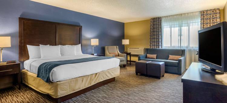 阿灵顿高地 - 麋鹿林郊区套房酒店(Suburban Studios Arlington Heights Elk Grove)图片