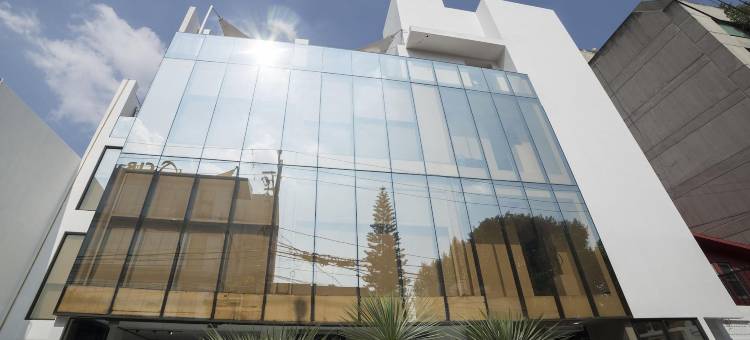 Suites Arboleda 215图片