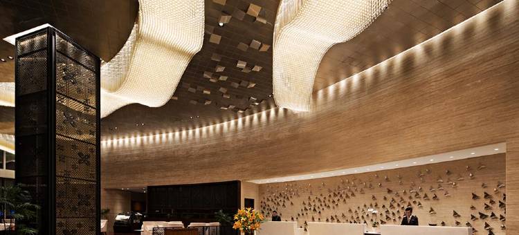 马戈酒店(The Margo Hotel)图片