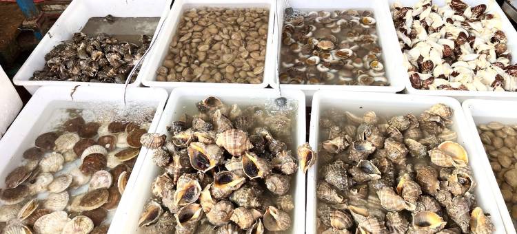 海韵家公寓(联峰路分店)图片