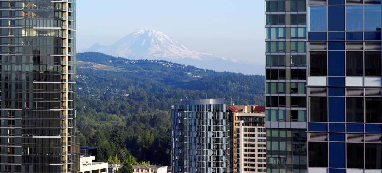 贝尔维尤凯悦酒店(Hyatt Regency Bellevue)图片